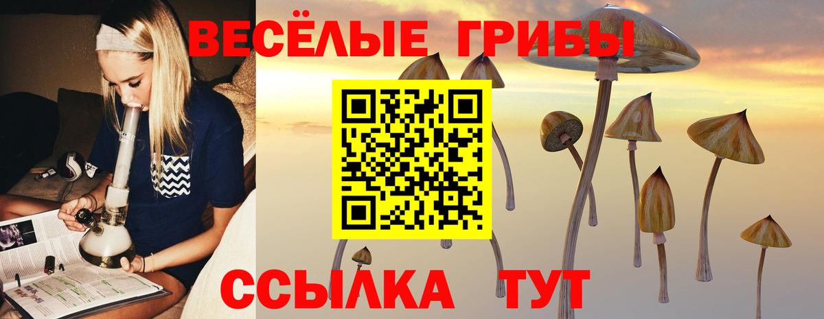 Галлюциногенные грибы Psilocybe  Вход с VPN  Новороссийск 