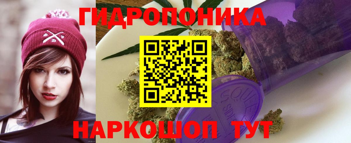 Шишки марихуана марихуана  Каннабис марихуана  Бошки Шишки Bruce Banner  Новороссийск  Вход с VPN 